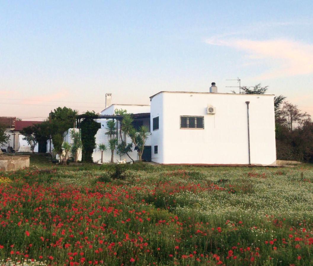 Villa Sara Di Puglia Castellaneta Luaran gambar