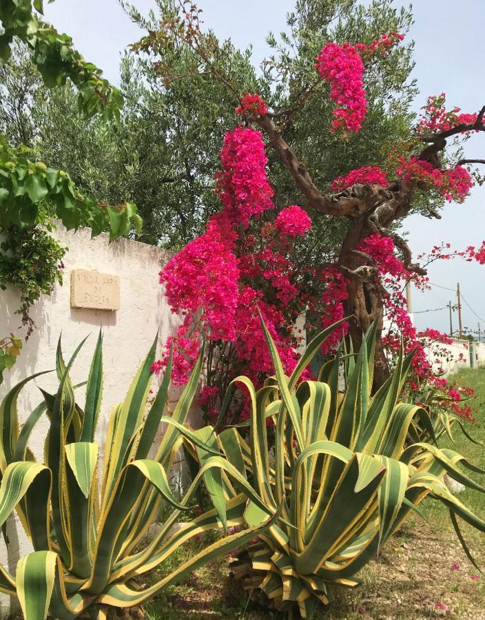 Villa Sara Di Puglia Castellaneta Luaran gambar
