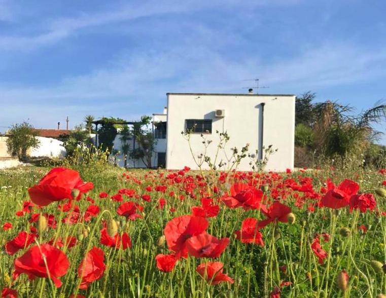 Villa Sara Di Puglia Castellaneta Luaran gambar