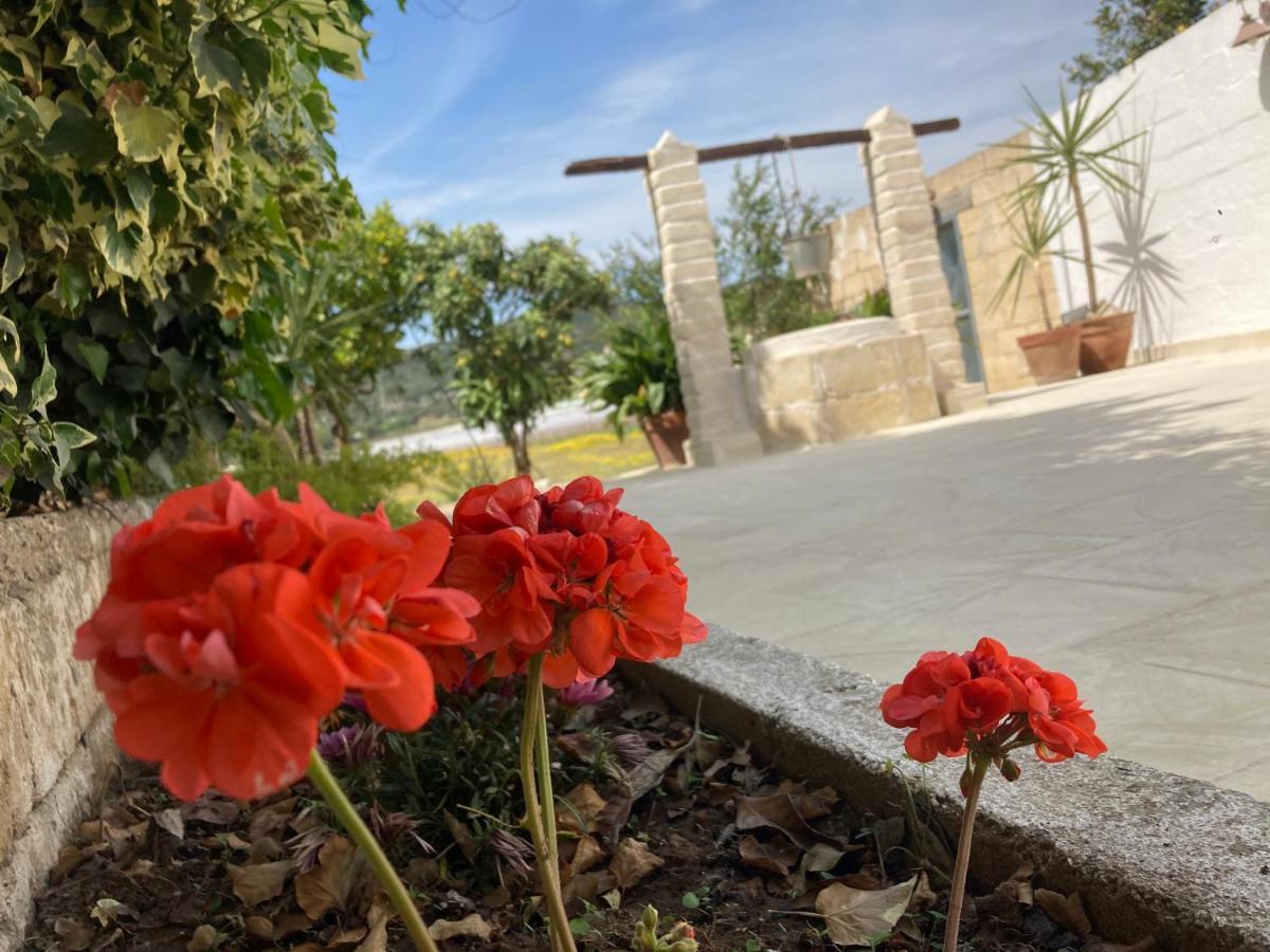 Villa Sara Di Puglia Castellaneta Luaran gambar